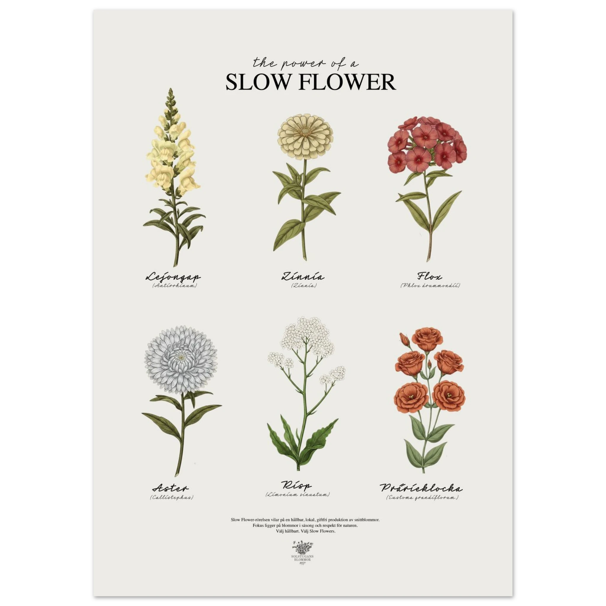 24405f4e-fbec-4feb-915a-5b98c554bc72