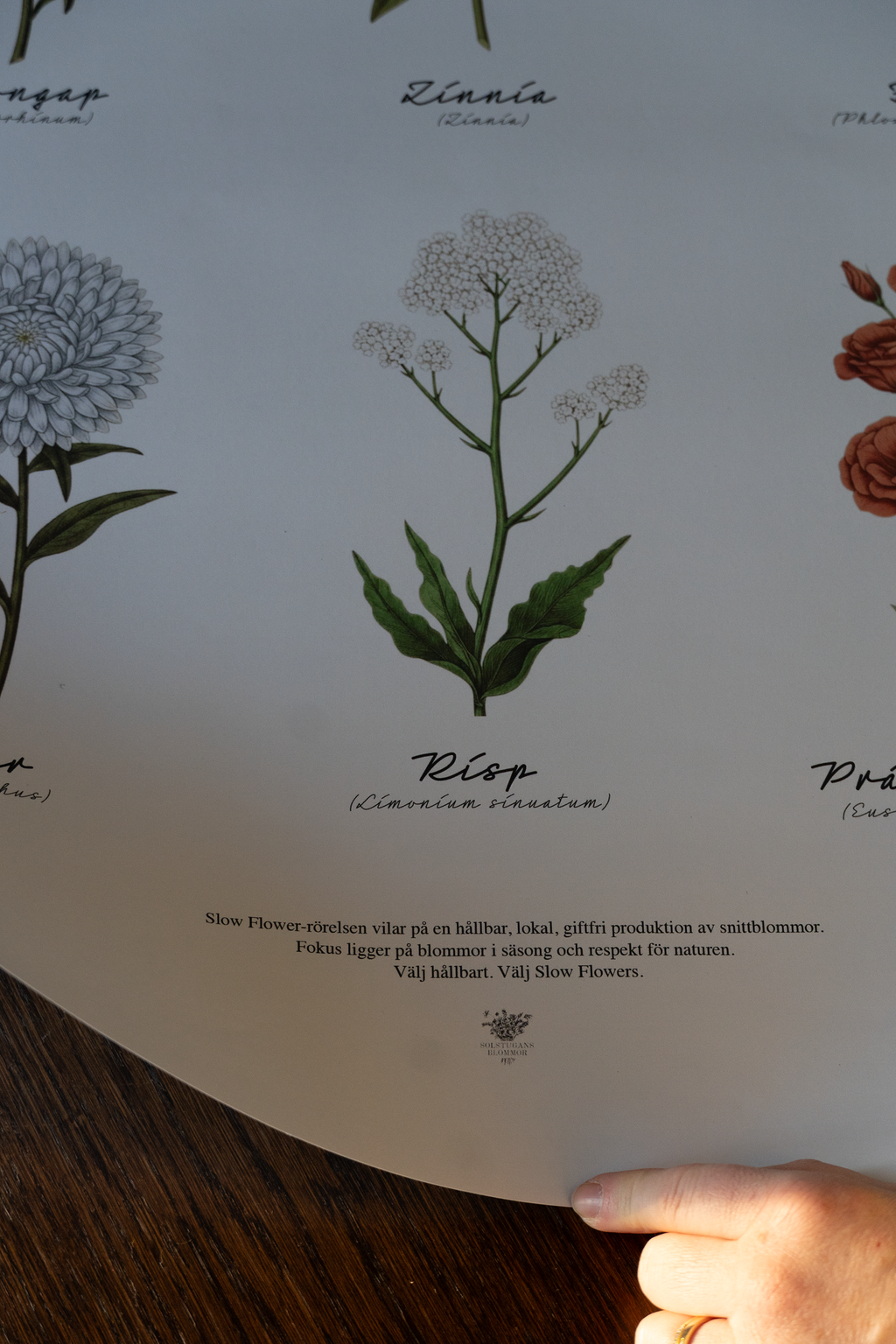 SLOW FLOWERS Poster