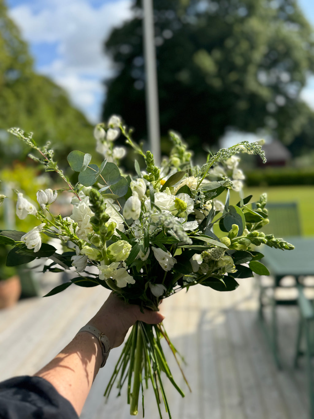 Plantpaket: Odla egna buketter!
