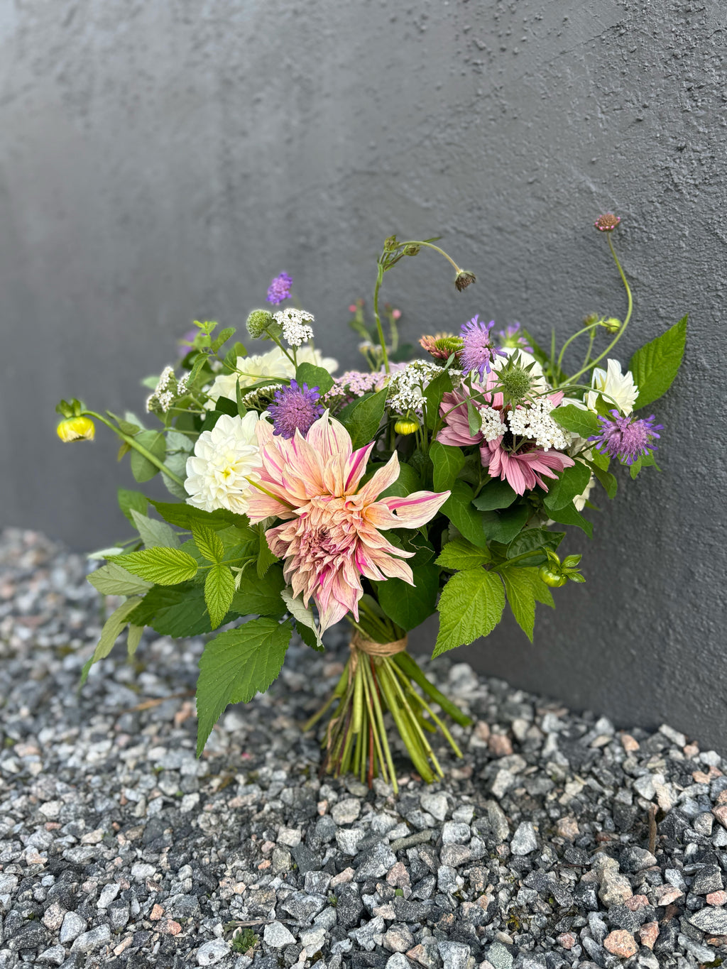 Plantpaket: Odla egna buketter!