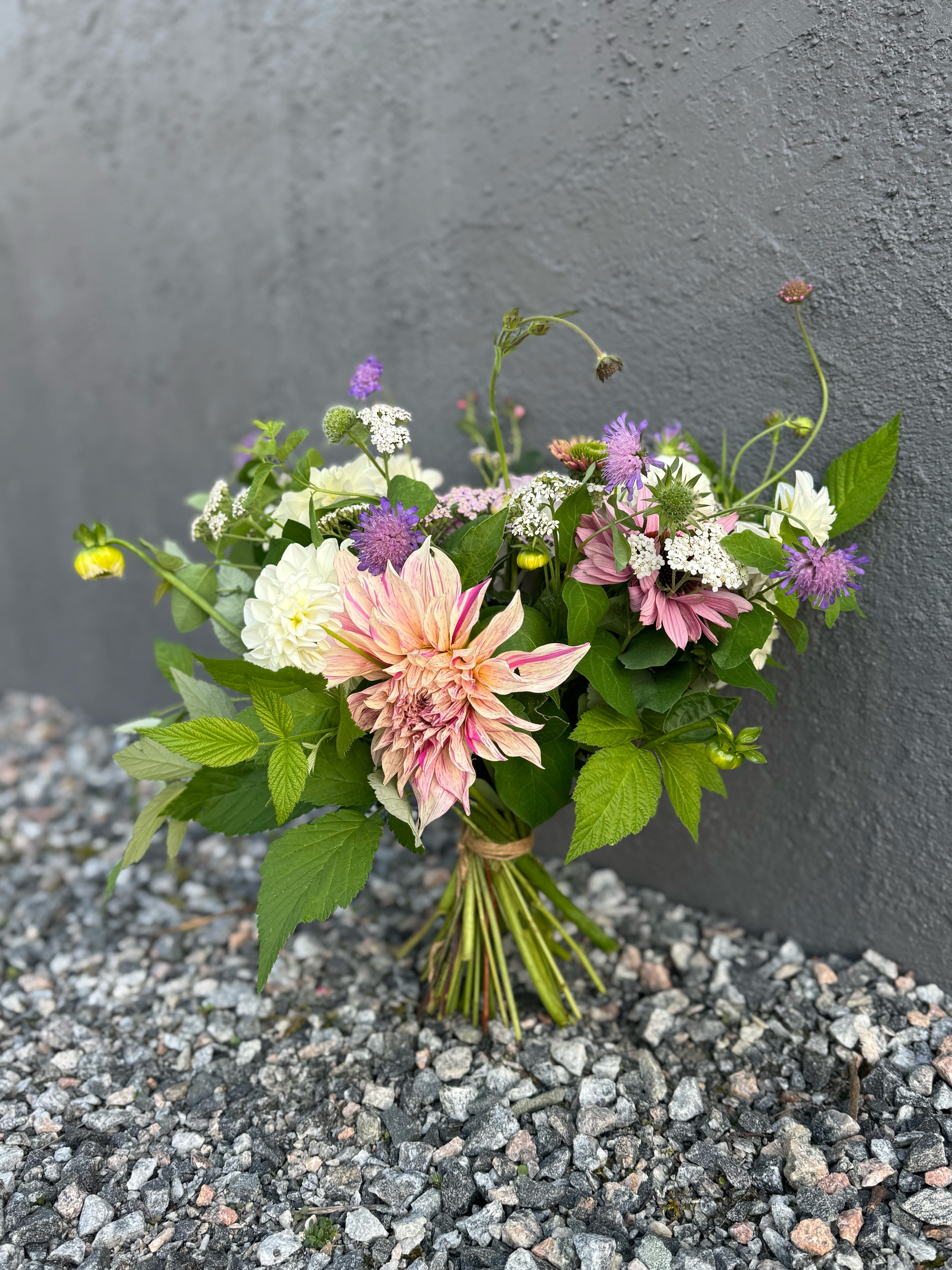 Plantpaket: Odla egna buketter!
