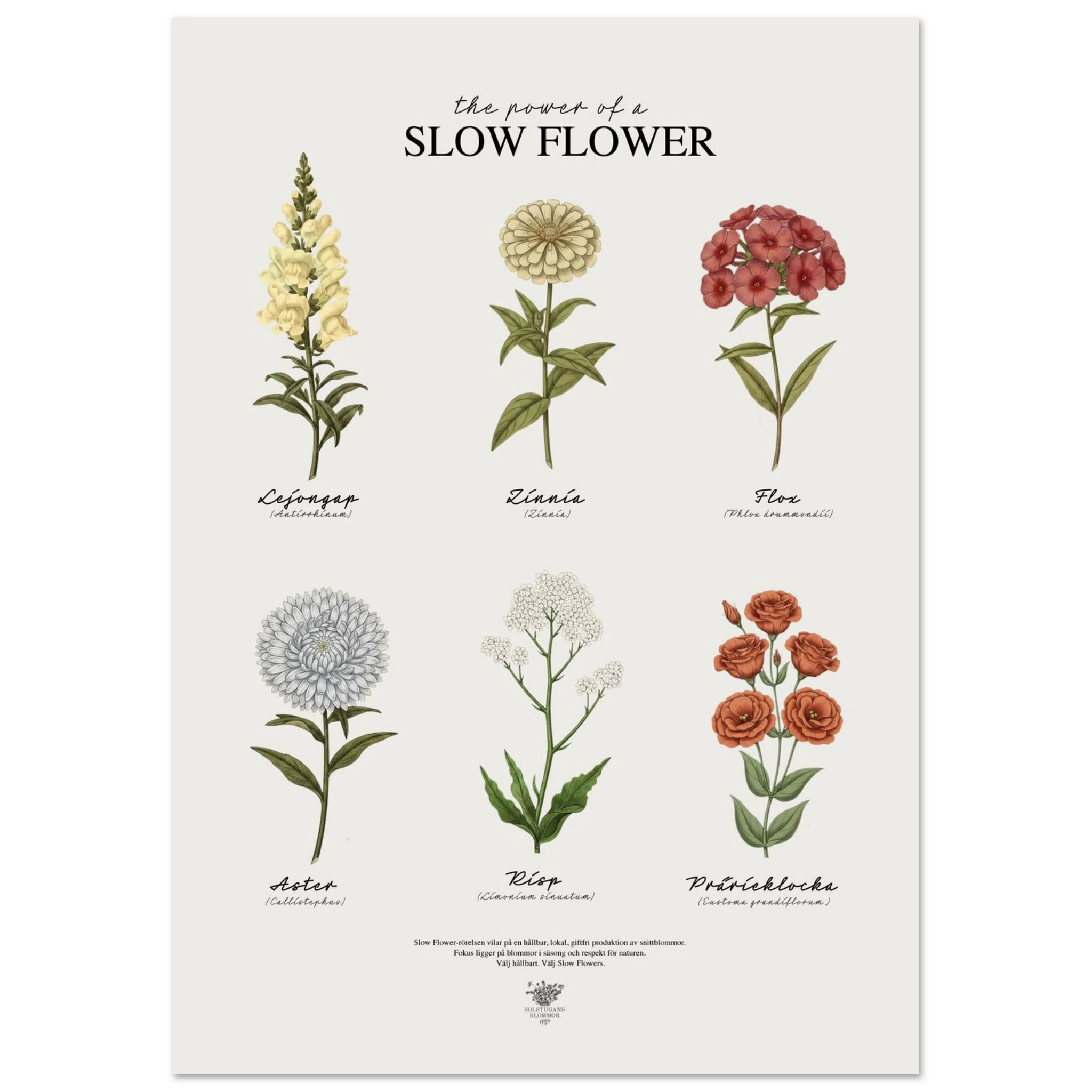 a5fcf36a-f5e8-48d2-a11f-051319eaf49e