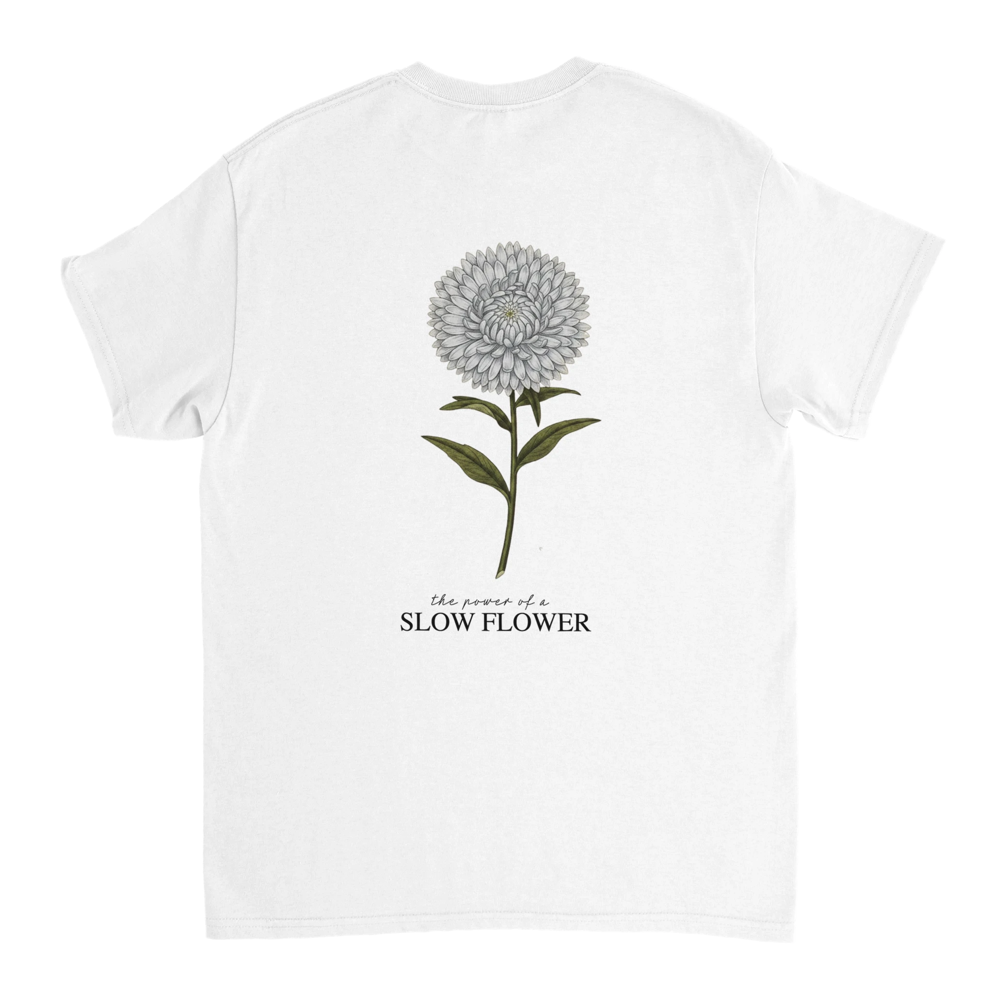 f851f13d-6951-4496-8ac9-39571fd4399f